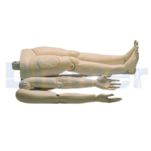 Anne Resusci Anne Manikin Extrication Kit 